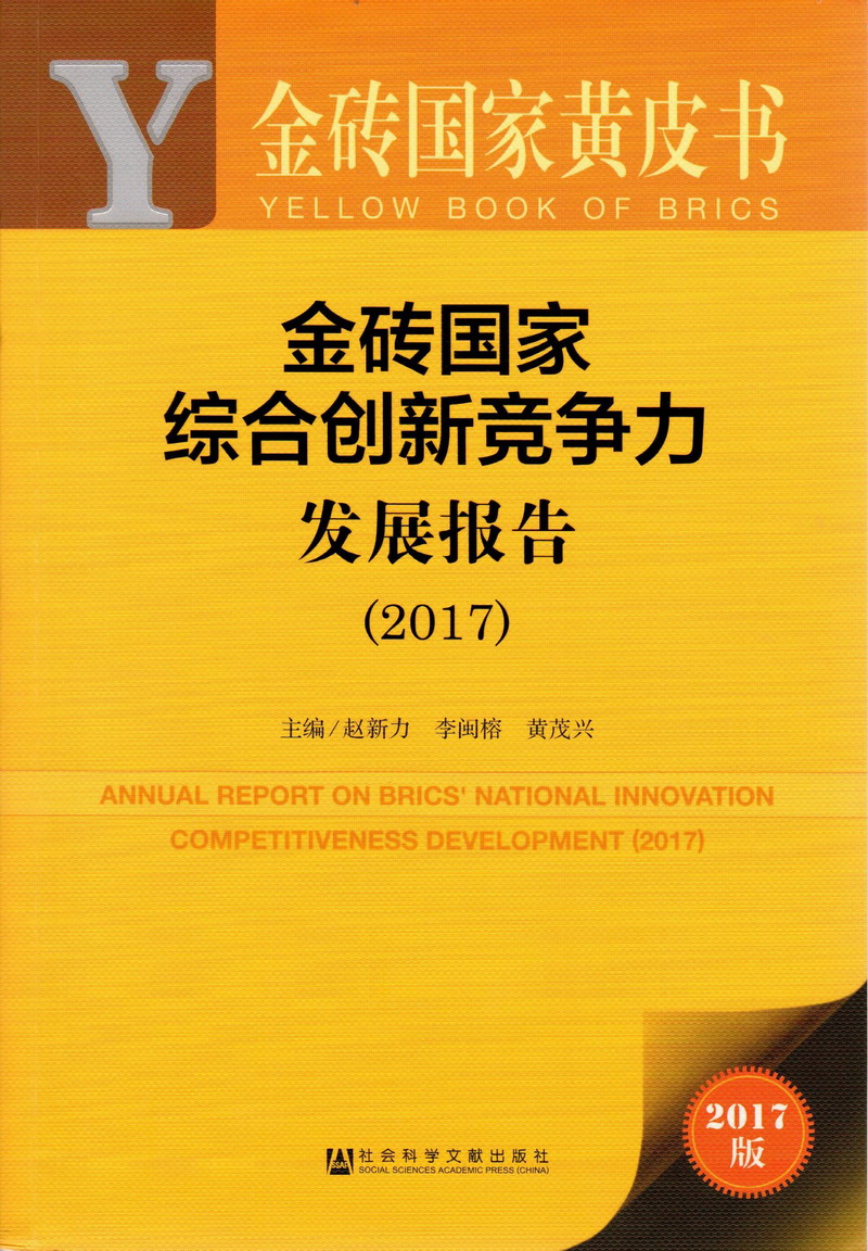 操骚B舒服毛片视频播放金砖国家综合创新竞争力发展报告（2017）